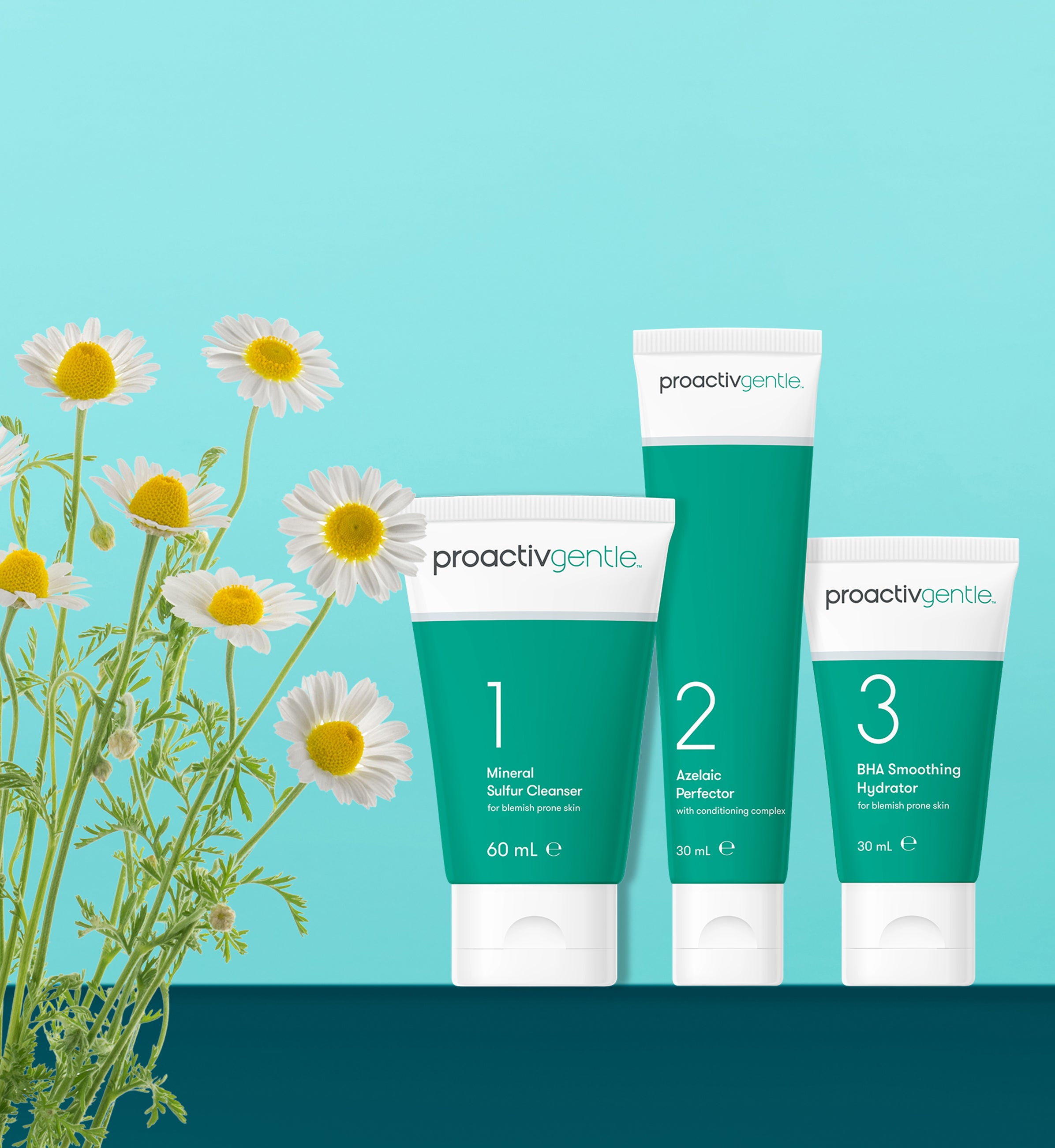 Proactiv Gentle 30 Day 3-Step Routine